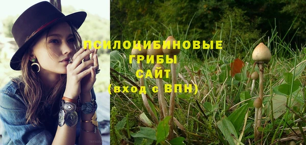 mdpv Абдулино