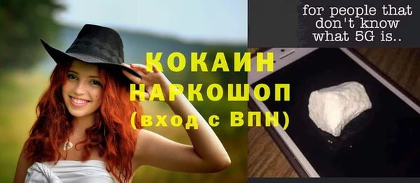 PSILOCYBIN Осташков