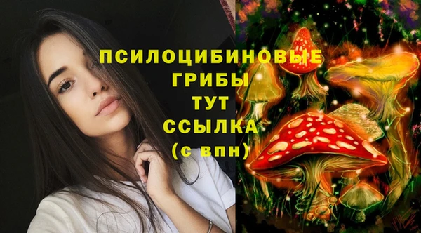 mdpv Абдулино