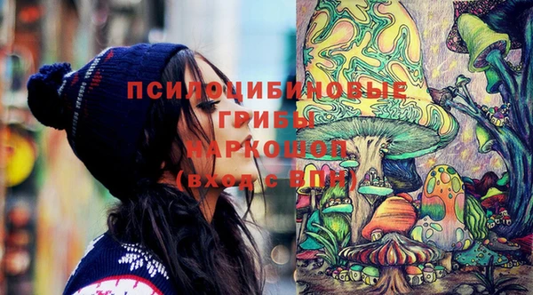 дмт Осинники